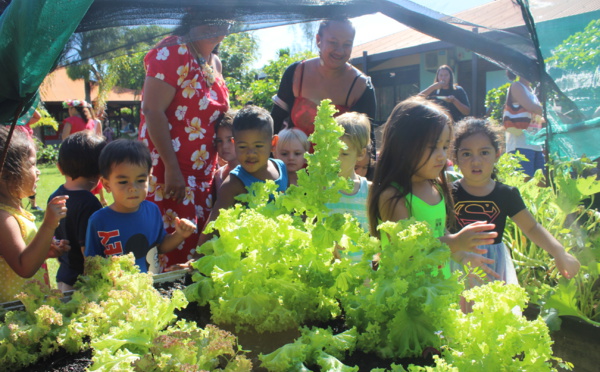 Les écoles de Punaauia prennent "la route des potagers" bio