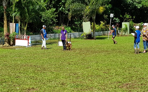 Club canin de Pirae : un concours d'obéissance prévu le 2 juin