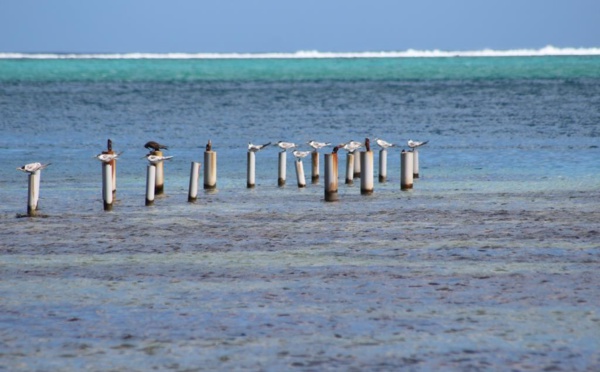 La biodiversité, c'est quoi?