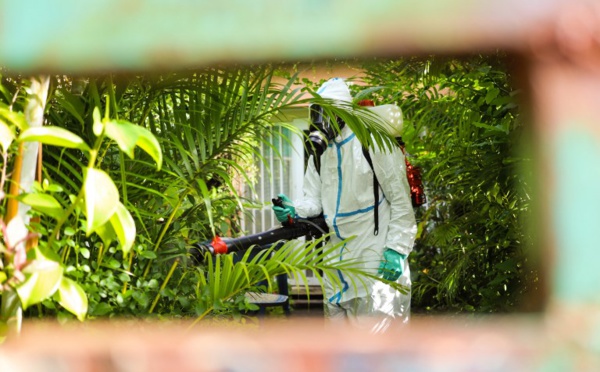 L'épidémie de dengue se poursuit à La Réunion