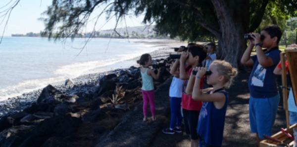 Le navire La Boudeuse "a débarqué" au Musée de Tahiti et des Îles