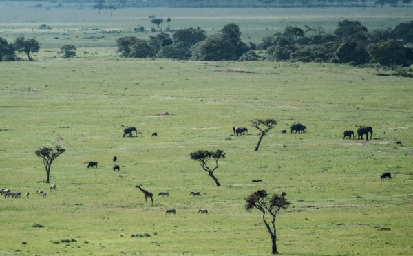 Kenya: recherches en cours pour localiser un avion accidenté avec 10 passagers
