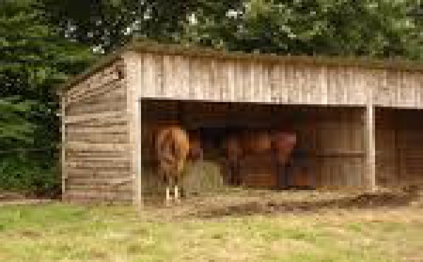 Des abris pour les animaux