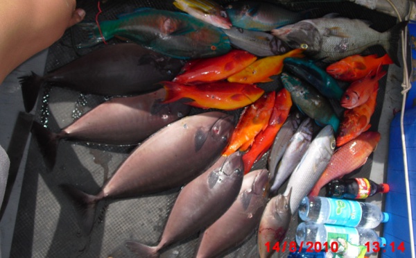 Chasse sous-marine: Mémorial Colas Hoata et 2ième journée du championnat de Polynésie par équipes à Tautira