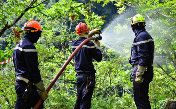 Lutte contre les feux de forêts : quinze pompiers en formation
