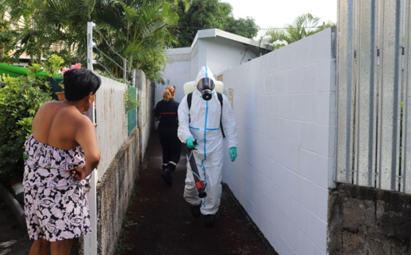 L'épidémie de dengue ne faiblit pas à La Réunion