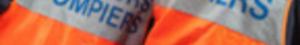 Moorea : une fillette de 3 ans grièvement blessée par un chien