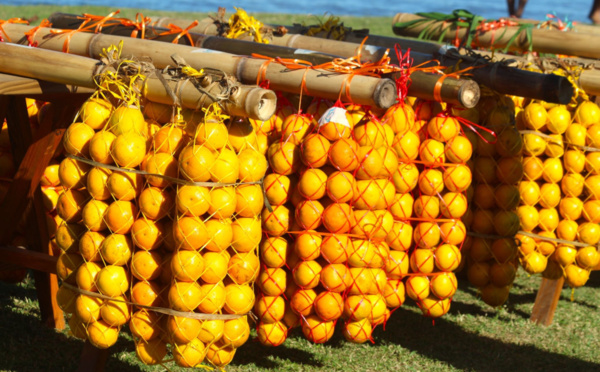 Carnet de voyage - Hommage aux cueilleurs d’oranges