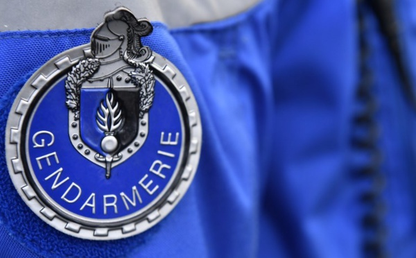 Guyane: un hommé armé d'une hache et criant "Allah Akbar" blessé par un tir policier