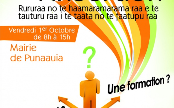 Forum de l'insertion économique de Punaauia