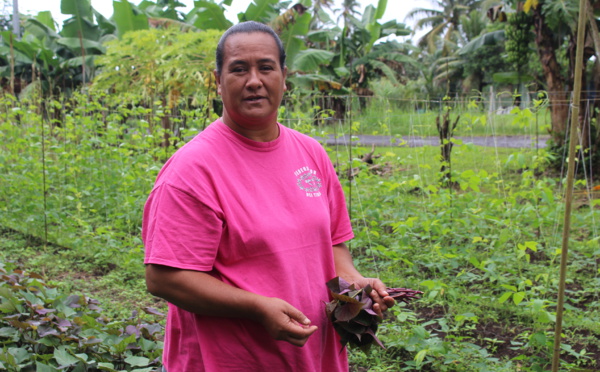 Fa'ati fa'a'apu : visite au cœur des exploitations