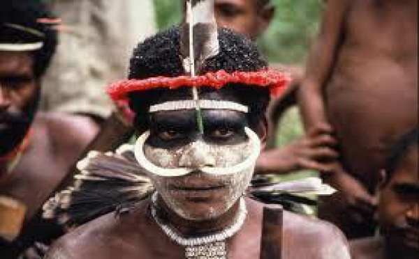 Les premiers Papous, rois de la colonisation dans les Hauts Plateaux