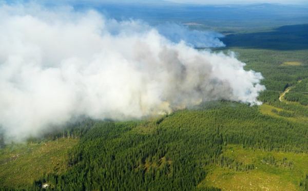 La Suède en proie à des dizaines de feux de forêt