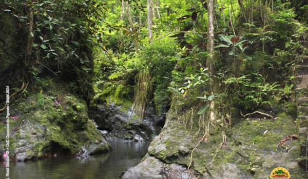 Réouverture de la Vallée de la Fautaua ce jeudi