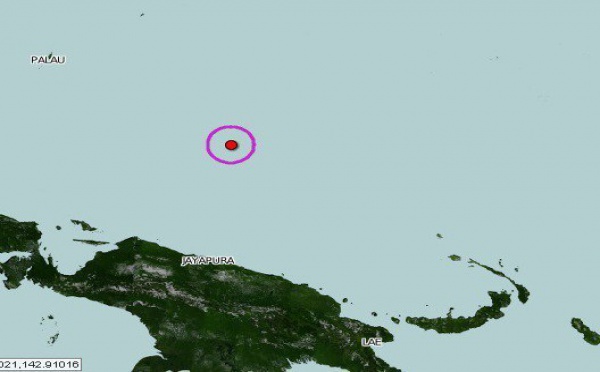 OTNF: On avance,on avance...