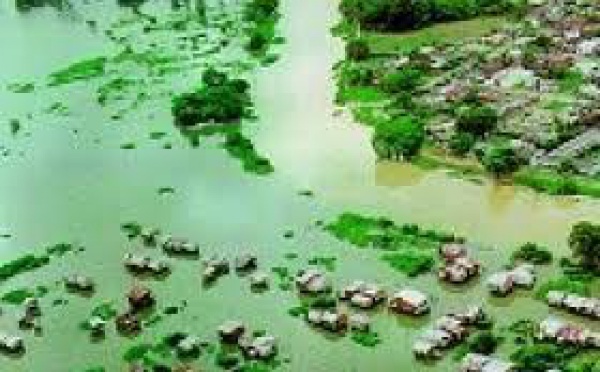 Inondations en Papouasie occidentale : plus d’une cinquantaine de morts