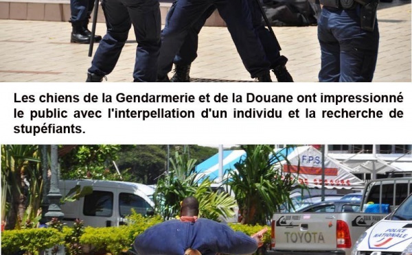 La journée de la sécurité intérieure 2010 en images