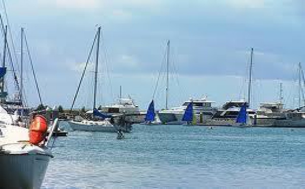 Plus de 450 Kilos de cocaïne saisis sur un voilier à Brisbane