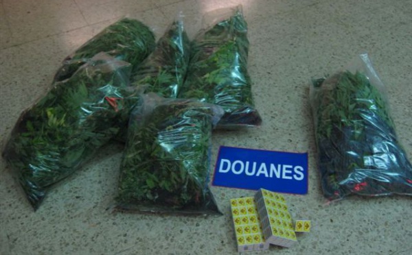 Le trafiquant sème ... la douane récolte
