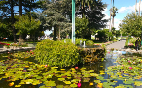 Carnet de voyage - Napier : fleurs, Art Déco et air marin