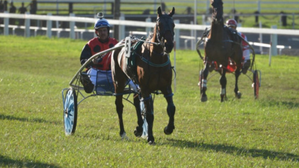 Hippodrome : les pronostics pour les quatre courses de ce dimanche