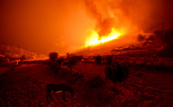 Le feu menace une ville touristique du sud du Portugal
