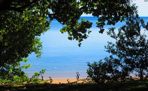 Pacifique: la Nouvelle-Calédonie renforce la protection de ses récifs coralliens