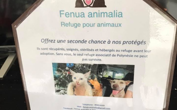 Les associations de protection animale ont besoin de votre aide 