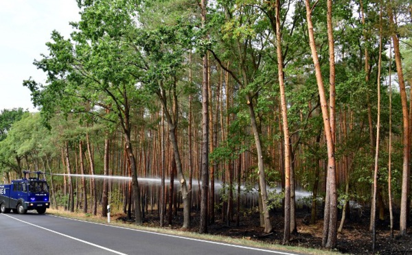 Allemagne: un violent incendie de forêt continue de menacer des villages