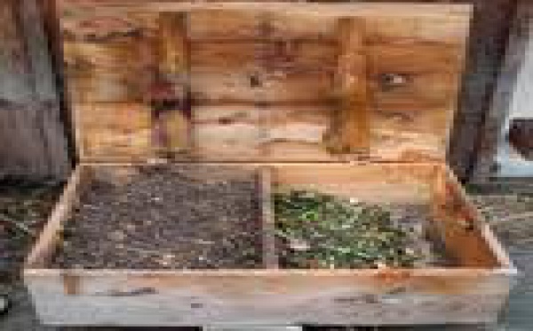 Des vers « api » en Polynésie Française