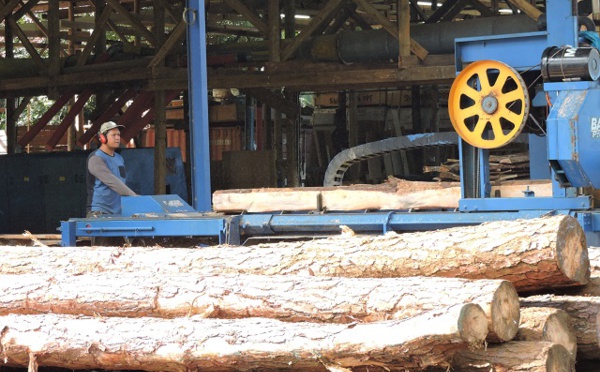 Une étude pour un prototype de fare en bois local 