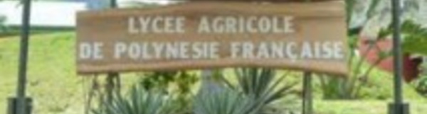 Lycée agricole d'Opunohu : Il reste des places vacantes en 2nde professionnelles