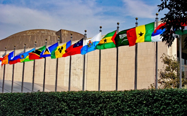 Coup d'envoi à l'ONU de négociations sur un traité protégeant la haute mer