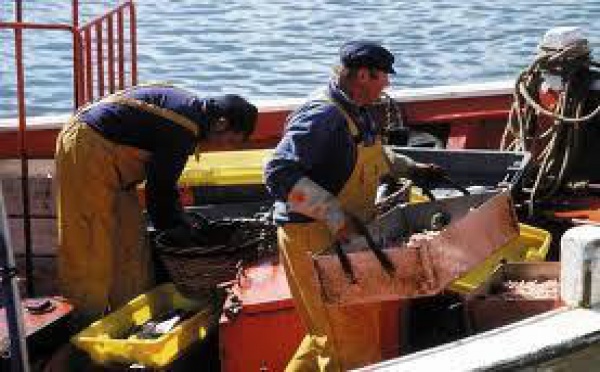 Deux projets de loi du Pays  portant statut du marin pêcheur