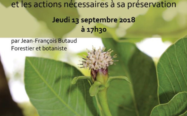 Conférence : jeudi soir à Opunohu découvrez la richesse florale polynésienne