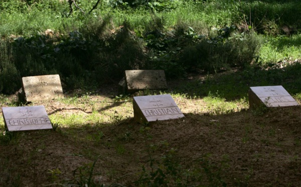 Algérie: les moines de Tibéhirine béatifiés le 8 décembre, sans le Pape