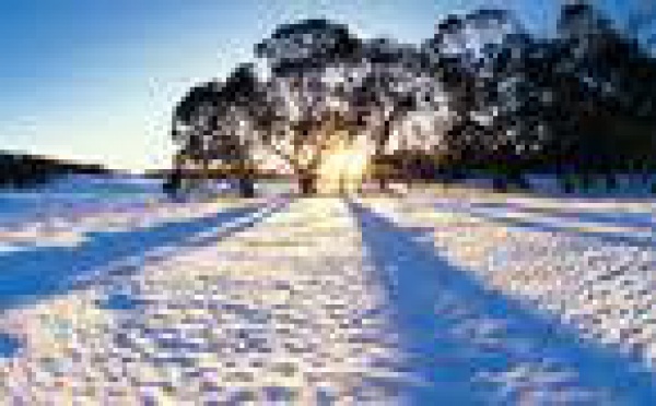 Australie: Après les orages, la foudre,  la neige en plein été austral