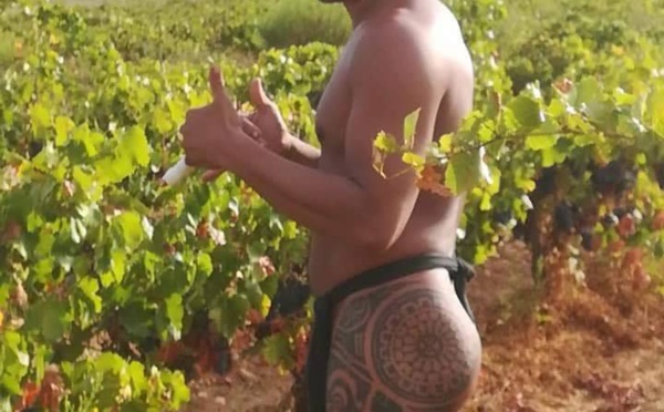 Les photos de Teauahi Roura en pleine vendange font le buzz