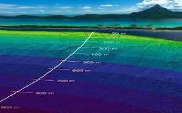 Geocean a signé un contrat auprès de l’hôtel Tahiti Beachcomber
