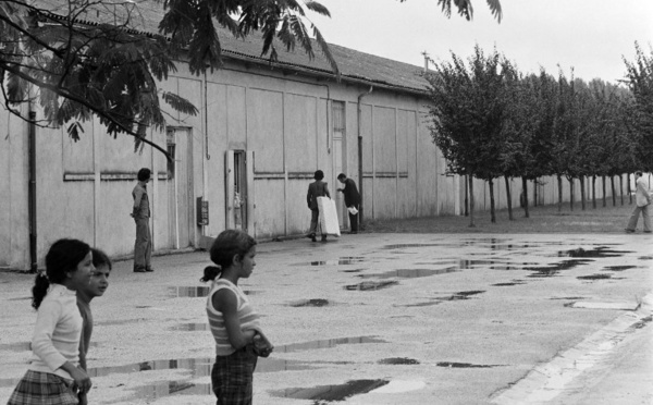 Guerre d'Algérie: après Maurice Audin, Macron fait un geste pour les harkis