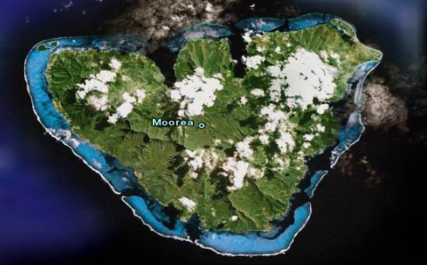 2010, année charnière et productive pour la commune de Moorea-Maiao