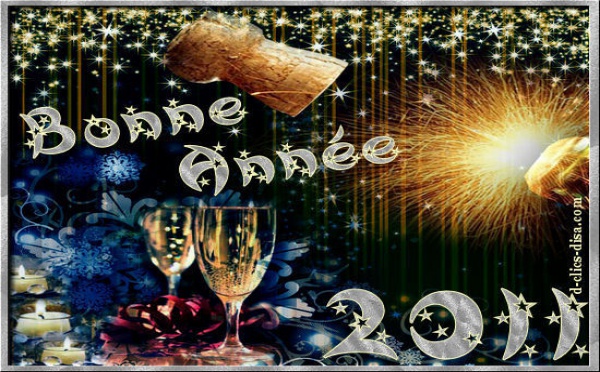 Bonne Année 2011! I a orana i te matahiti 'api 2011... 