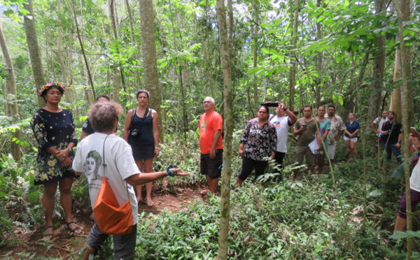 Projet Rescue à Moorea : des actions qui favorisent le développement durable
