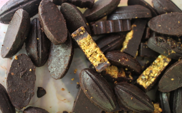 Chocolat, de la fève à la tablette