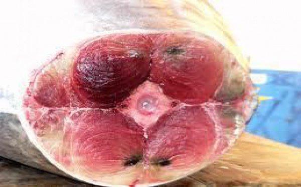 THON: Recommandations à l’attention des enfants en bas-âge  et des femmes enceintes ou allaitantes*