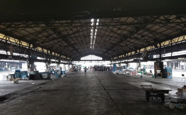 À Tokyo, le marché aux poissons de Toyosu ouvre, le vieux Tsukiji résiste