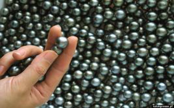 PERLES: Vaste opération anti-rebuts menée par le Ministère des ressources maritimes