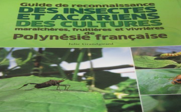 1ER GUIDE DES INSECTES ET ACARIENS DES CULTURES DE PF