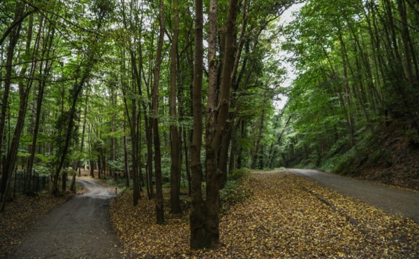 Khashoggi : recherches dans une forêt, une crise majeure se profile entre Ryad et ses alliés