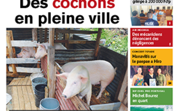 TAHITI INFOS N° 1266 du 19 octobre 2018